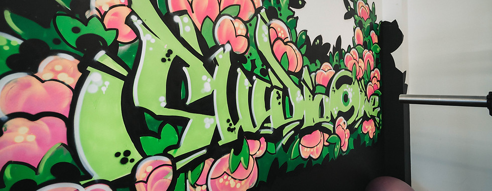 Studio One PT Gym Christchurch