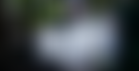 Jimmy Memento Featured in Sydney Morning Herald's Spectrum Now Teaser.