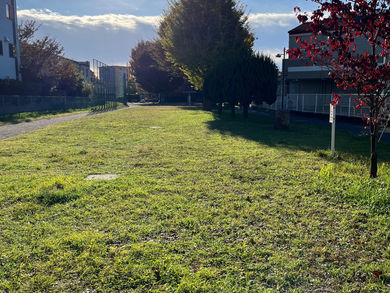 静かな朝の公園さんぽ