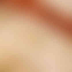 gold shell statement earrings for women ribbed gold tone jewelry