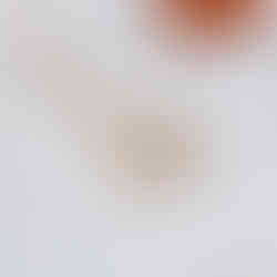 Lunelle anti-tarnish gold plated pendant necklace with clover-inspired shell design and minimal elegance