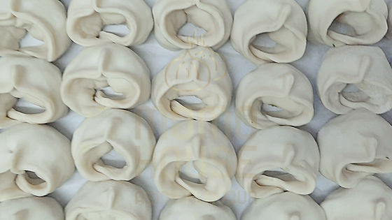 1221) Gefrorene Vegan Momo 1