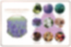 縮圖：Maya - Lavender relaxing