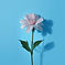 flower 1.jpg