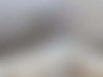 Damp and Dirty Roofs - Why there's a link