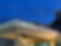 Hotel 1.jpg