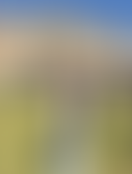 VOLUNTEER JO’S VIP INVITE TO BUCKINGHAM PALACE