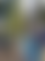 IMPROVE YOUR WELLBEING WITH THE DERBYSHIRE FEDERATION FOR MENTAL HEALTH TRUSTEES REQUIRED