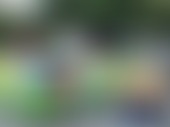 LATE SUMMER FADES INTO EARLY AUTUMN AT BAKEWELL METHODIST CHURCH