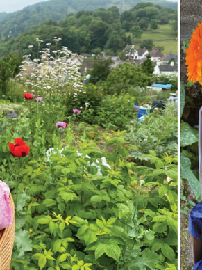 A COMMUNITY ROOTED IN GROWTH! WE'RE LOOKING FOR LAND TO CREATE COMMUNITY SPACES FOR GROWING