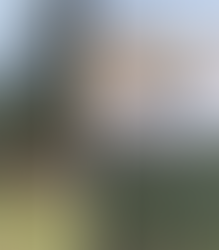 APPOINTMENT OF WILDFIRE ENGAGEMENT OFFICER