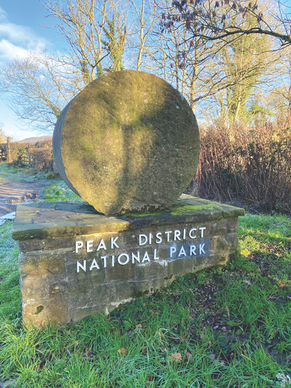 WALKS WITH NELLIE~ ROWSLEY TO DARLEY BRIDGE ~ BY SALLY MOSLEY 