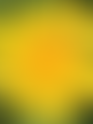 LITTLE GREEN SPACE ~ BY PENNY BUNTING