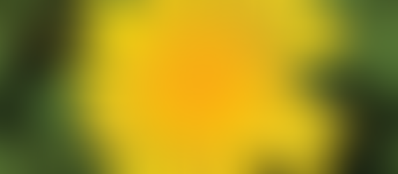 LITTLE GREEN SPACE ~ BY PENNY BUNTING