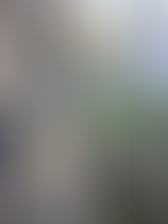 ‘LITTLE PUDDINGS’ NURSERY TO OPEN IN BAKEWELL ~ A MAGICAL BEGINNING FOR THE YOUNGEST EXPLORERS 