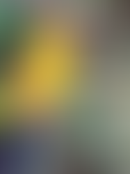 PARROT PLAYTIME – A FUN TRAIL FOR THE KIDS!