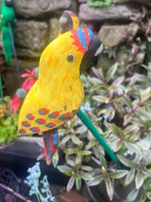 PARROT PLAYTIME – A FUN TRAIL FOR THE KIDS!