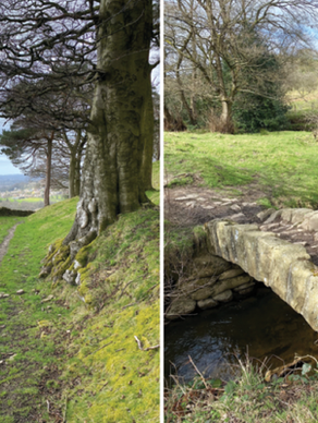 MY WAY AROUND ~ TEGGS NOSE TO LYME PARK ~ BY SALLY MOSLEY