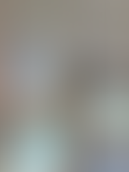 PEAK FOREST READING ROOM RENOVATION