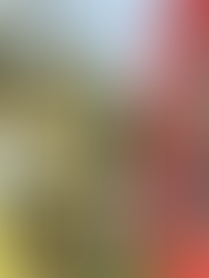 MY WAY AROUND ~ TISSINGTON TO WATERHOUSES ~ BY SALLY MOSLEY