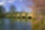 Bakewell Bridge Blossom.jpg