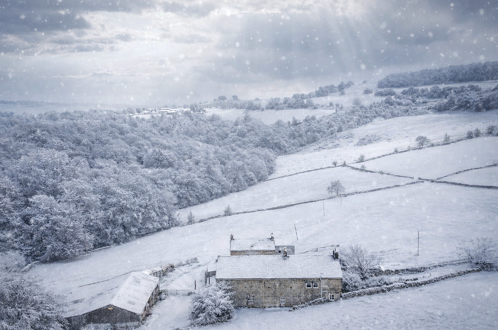 BAGSHAWS AUCTION DATES ANNOUNCED