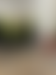 Elephants Race to Success at Elton