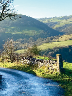 WALKS WITH NELLIE ~ WETTON ~ BY SALLY MOSLEY