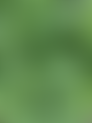 LITTLE GREEN SPACE