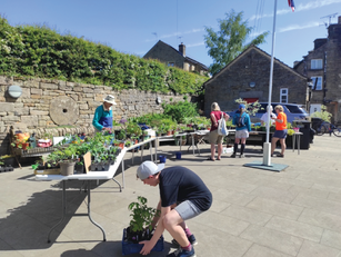 THE GREAT BRITISH PLANT SWAP SATURDAY, 23RD MAY