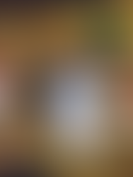 CASTLETON HISTORICAL SOCIETY TUDOR FOODS – A TALK BY MARK DAWSON 16TH APRIL