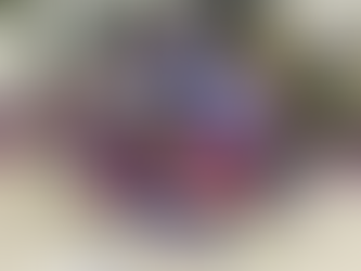 CROMFORD GARDEN & PRODUCE SHOW MONDAY 25TH AUGUST