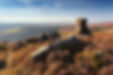 Peak_04_DerwentEdge_SaltCellar02.jpg