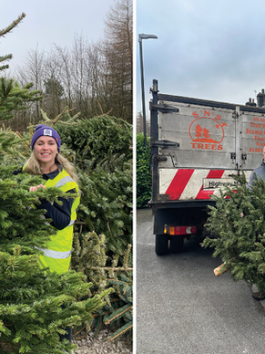 BLYTHE HOUSE HOSPICE TREECYCLE