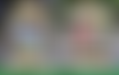 FOOLOW WELL DRESSINGS