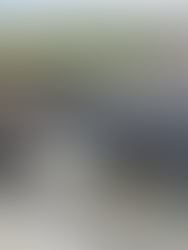 The EM Gauge Society AGM and Members' Day