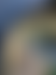 WALKS WITH NELLIE ~ CROMFORD ~ BY SALLY MOSLEY