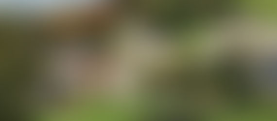 WALKS WITH NELLIE! Brassington