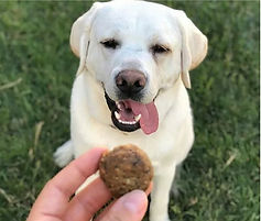 dog treat image_edited.jpg