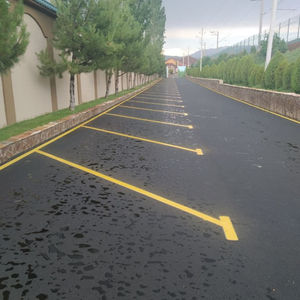 Urban Infrastructure and Roads