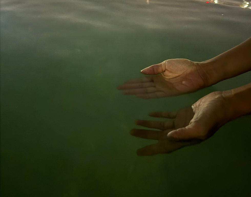 The Way of Water