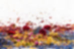 DSC00283 copy.jpg