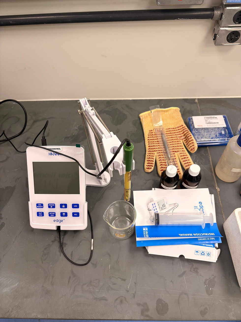 WhatsApp Image 2026-04-20 at 13.10.35 (2)