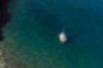 baobab-barco-drone-7.jpg