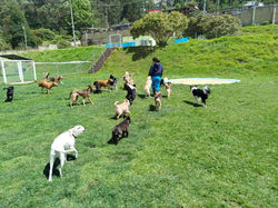 WhatsApp Image 2026-01-04 at 1.57.54 PM