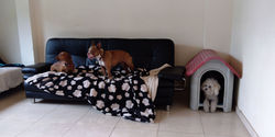 IMG-20190906-WA0077