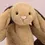 Thumbnail: BASHFUL PATCHWORK BROWN BUNNY