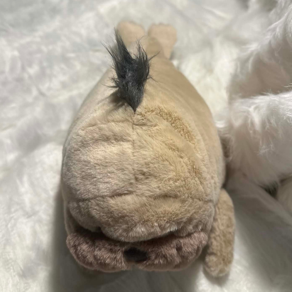 Thumbnail: Jellycat Roarwell Sea Lion