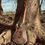 Thumbnail: Eternal "Rory Gallagher" Tribute