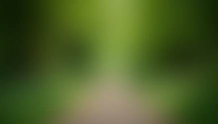 Exploring Acceptance and Commitment Therapy